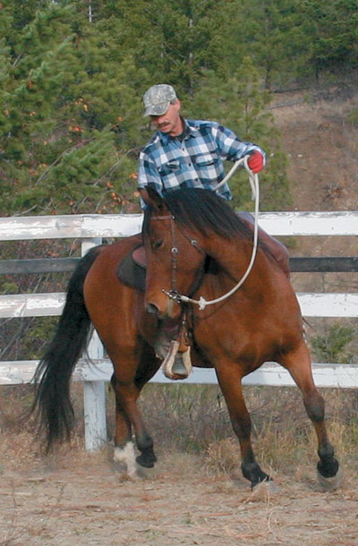 Paul Durfresne Horse Training Okanagan BC