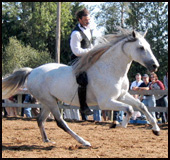 Paul Riding